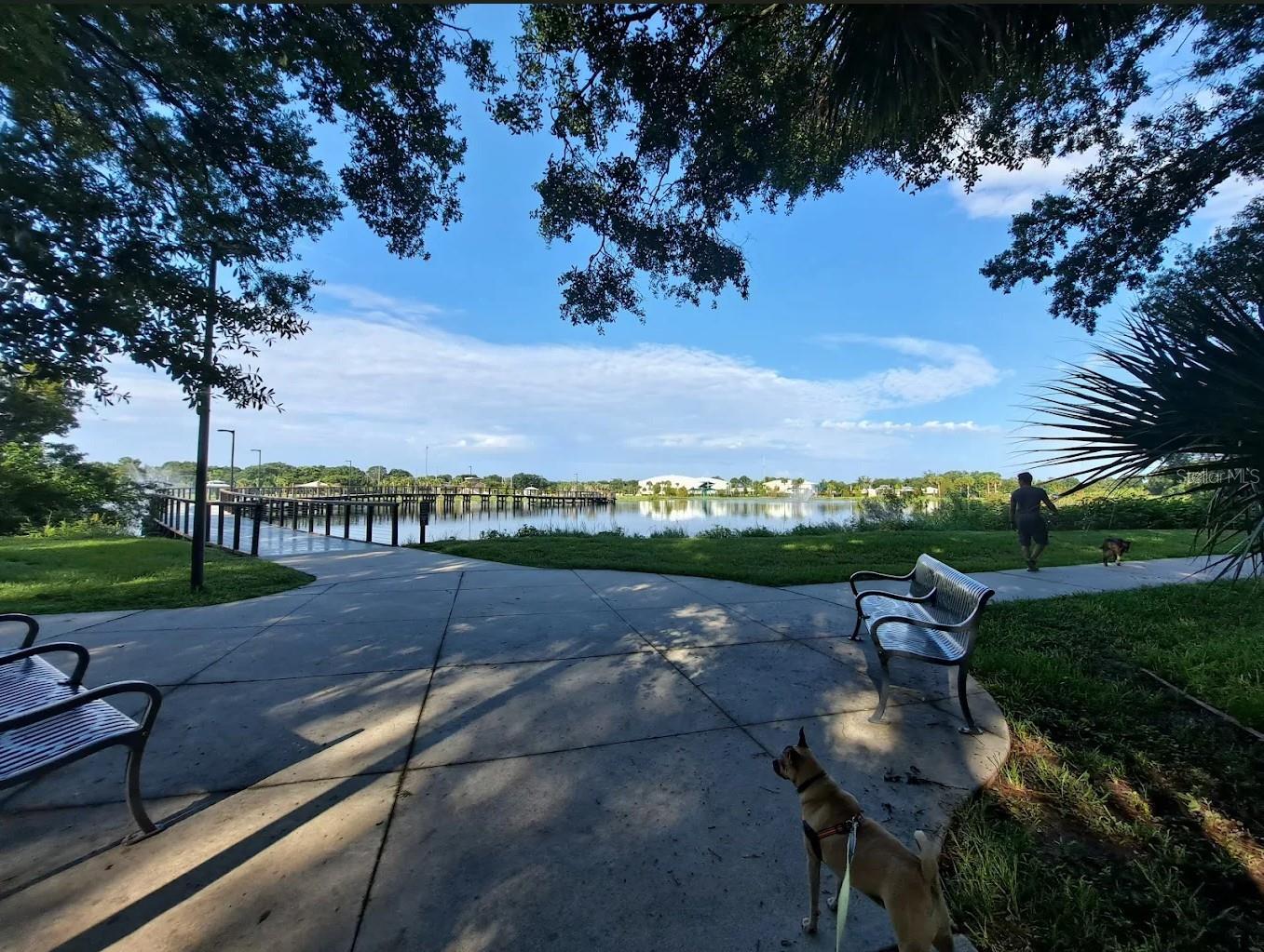 Carrollwood Village Park