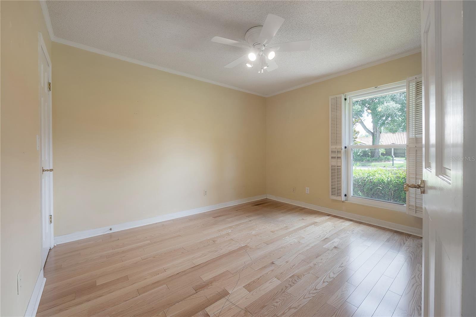 Downstairs bedroom 2/Den/ Office with closet