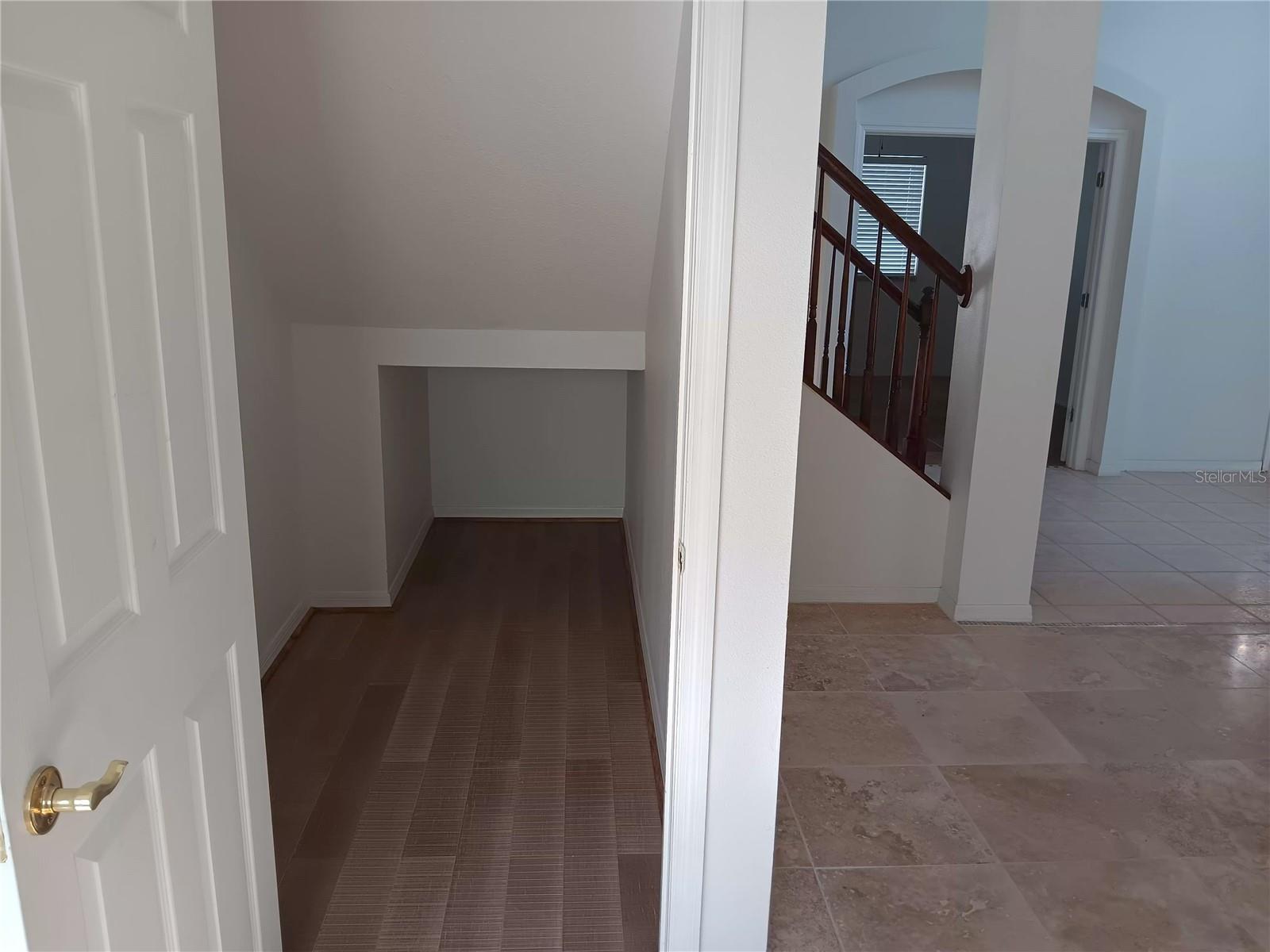 closet under stairs downstairs