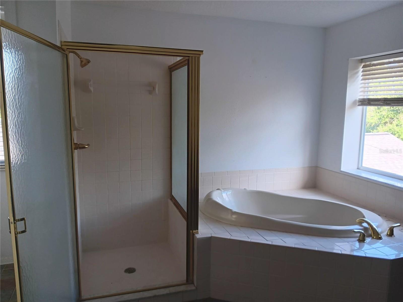 garden tub and walk in shower in master bathroom