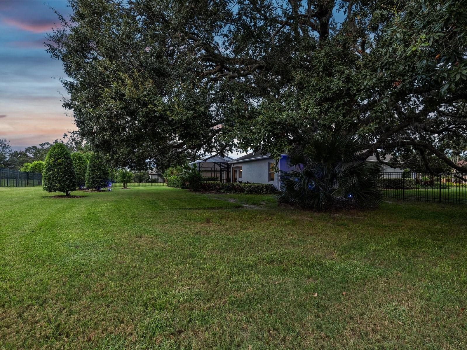 W7878407