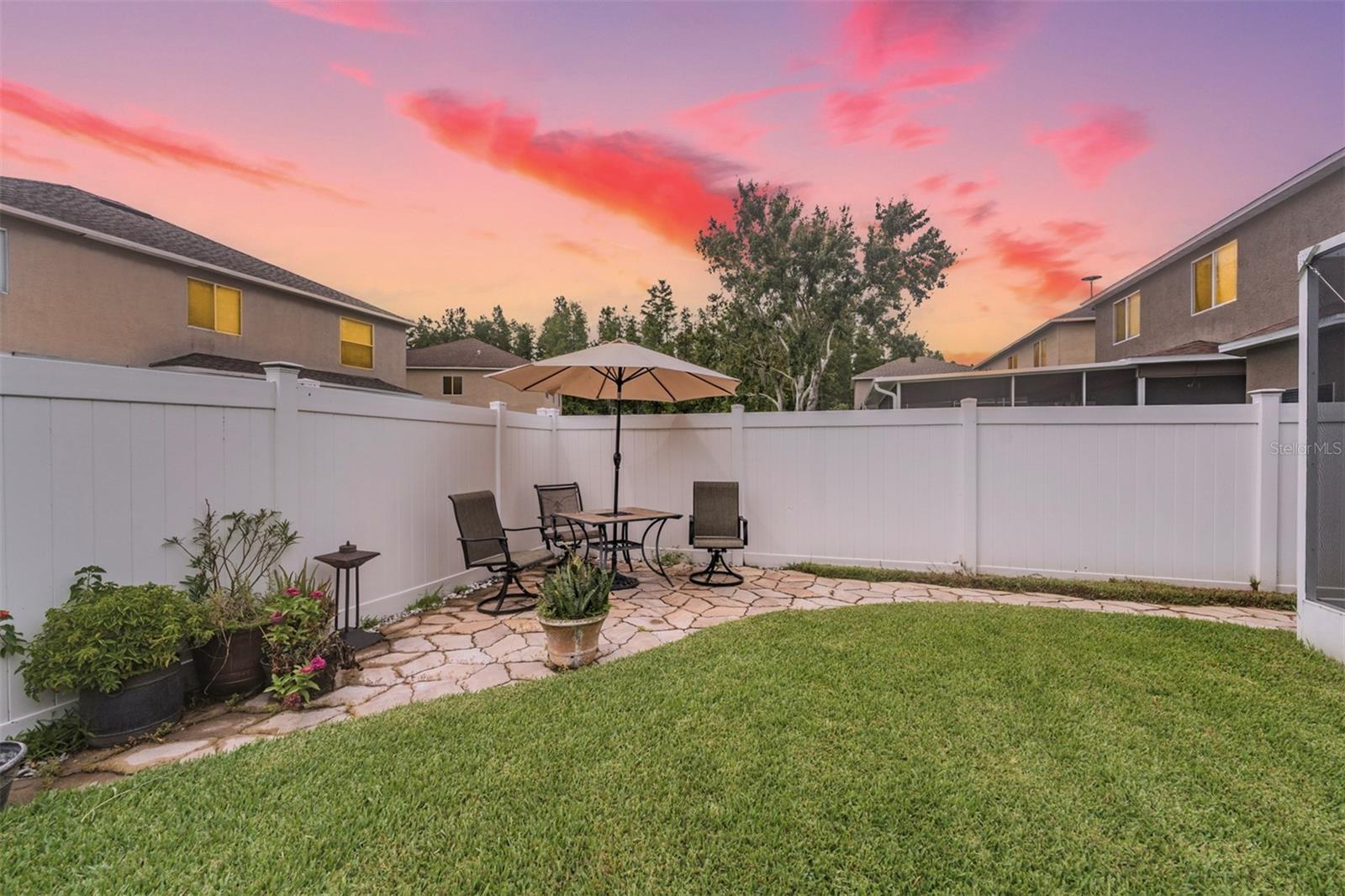 Back yard
