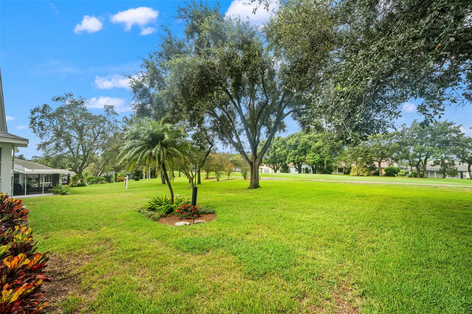 The bonus of living on the Golf Course - it looks like it's all yours.  but only to the Palm trees.