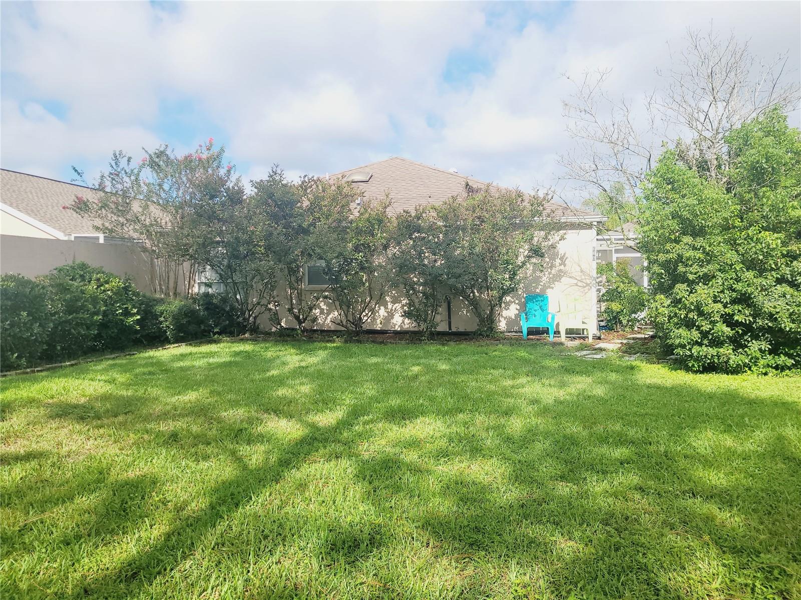 Backyard