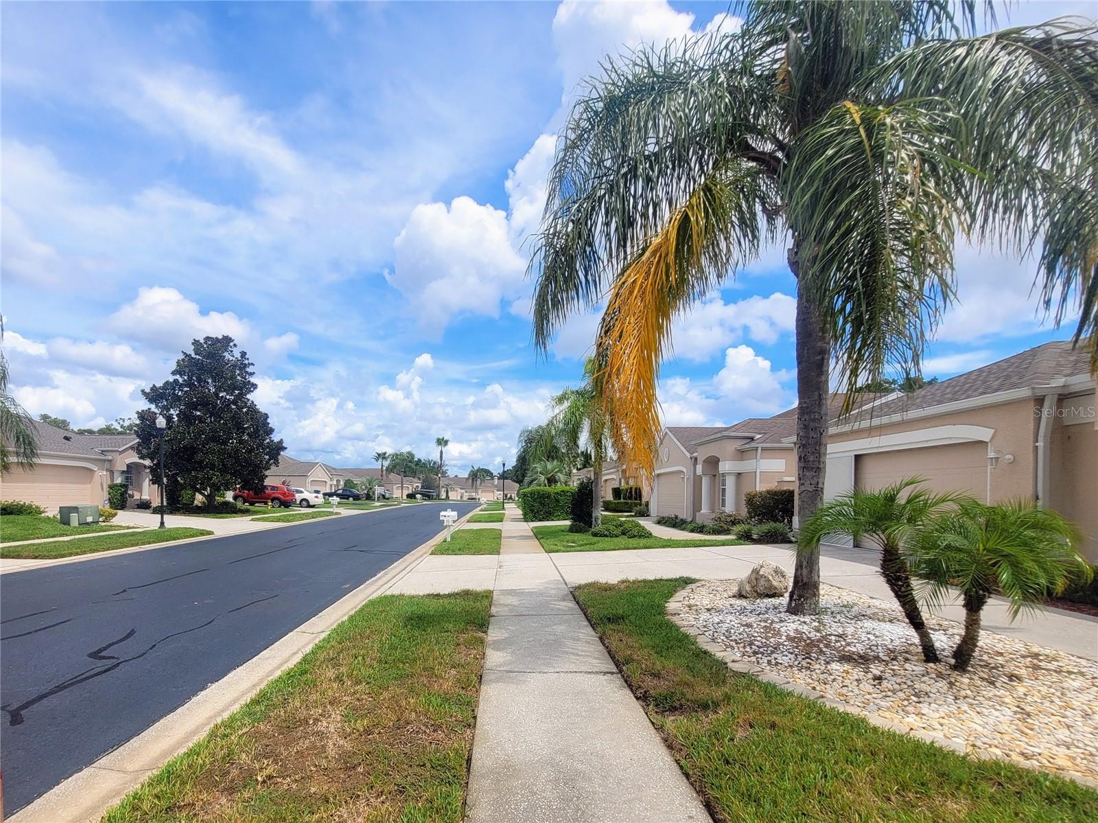 Neighborhood w/Underground Utilities