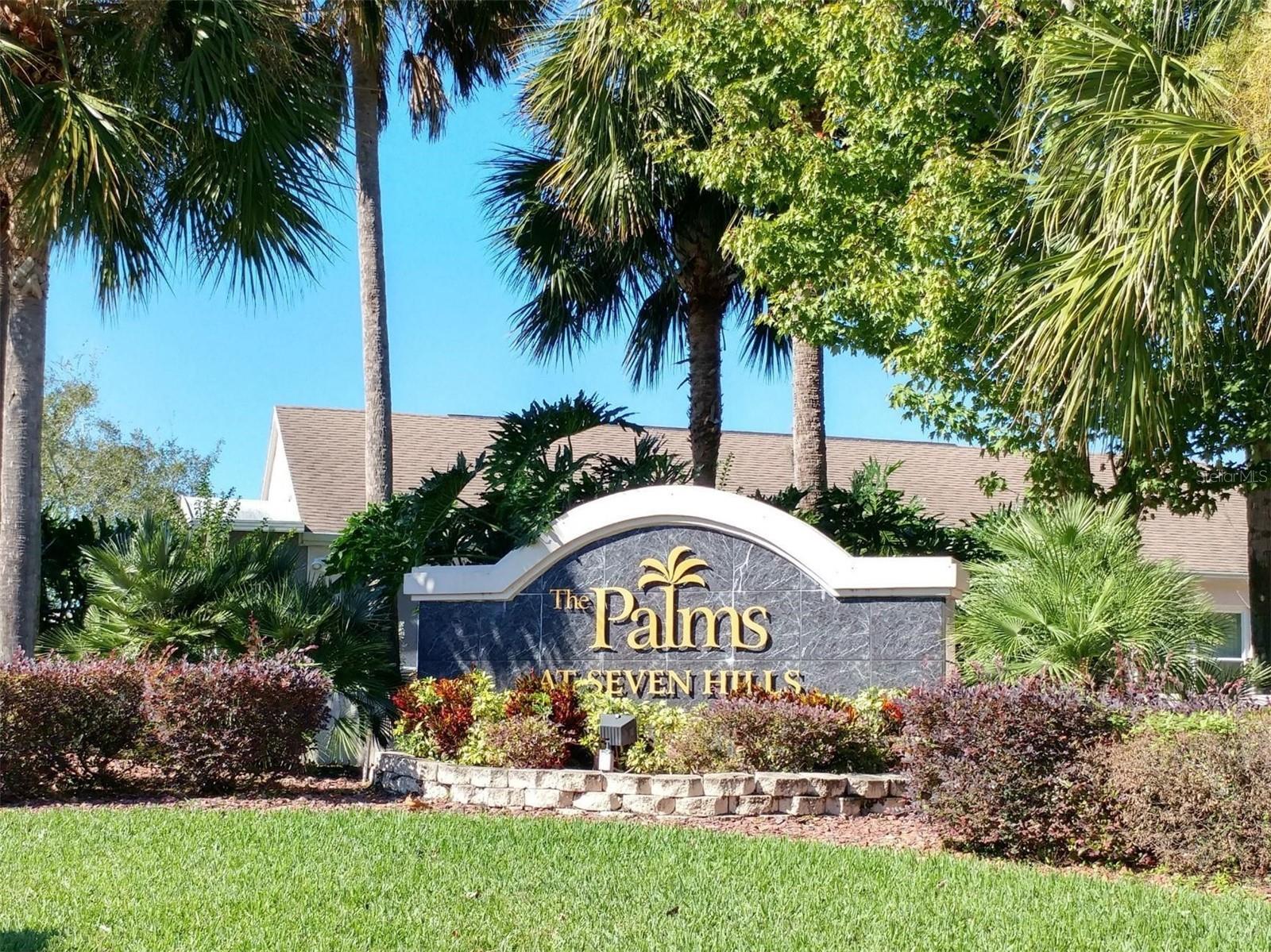 Palms at Seven Hills