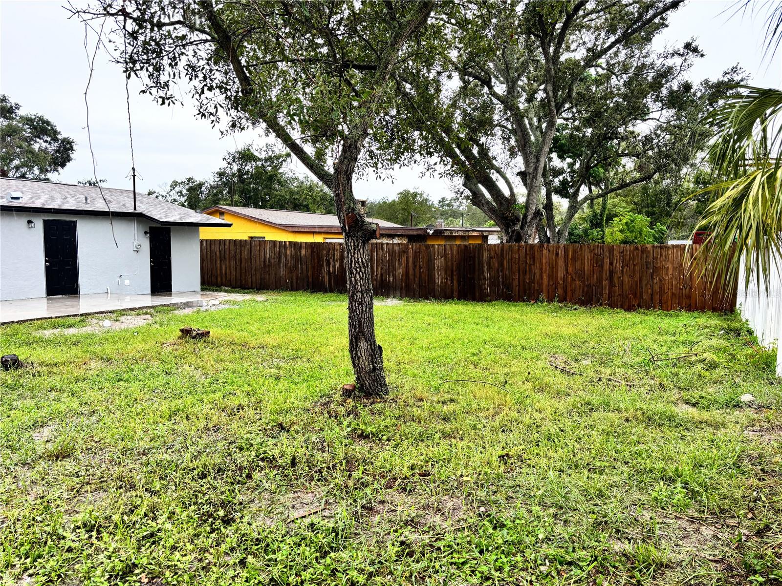 Back yard