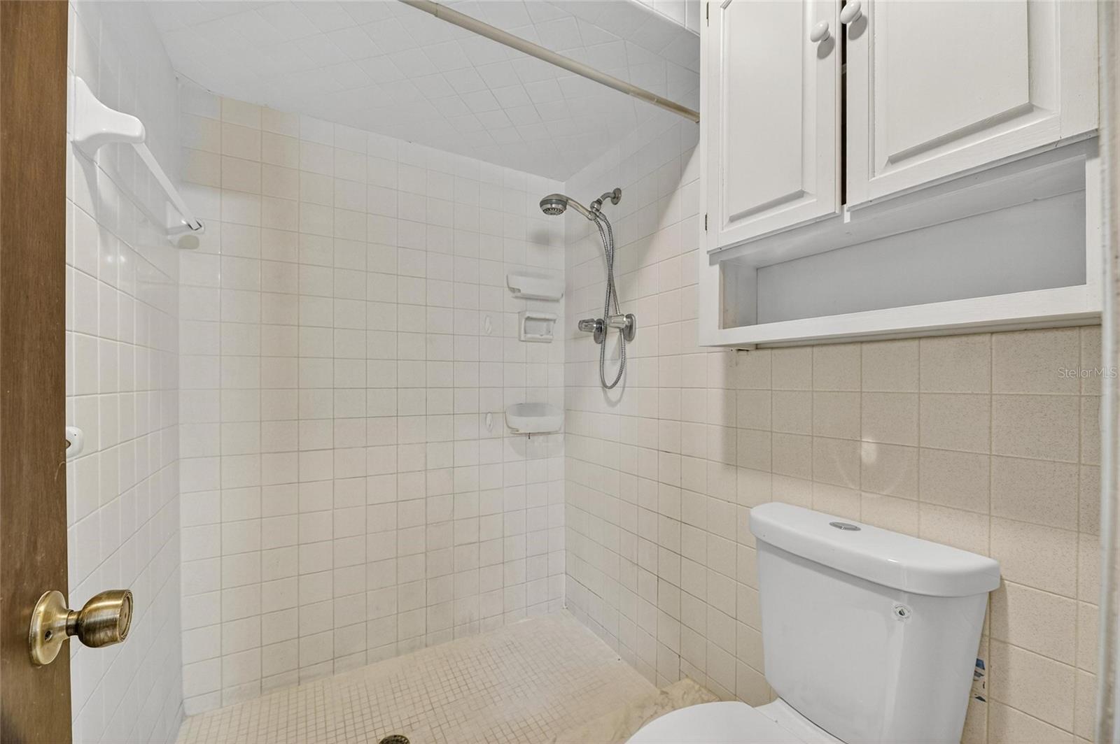In-Law Suite Bathroom