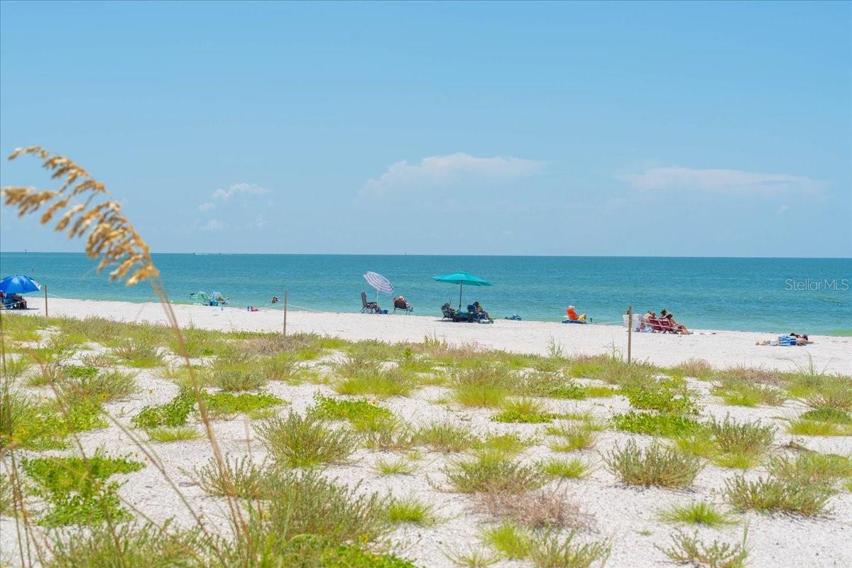 Just another lovely day at the beach