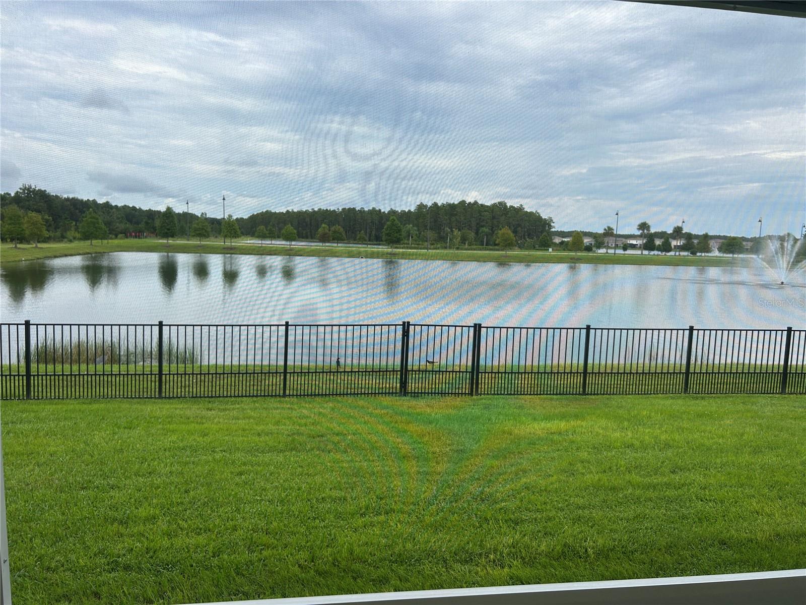 REAR VIEW POND
