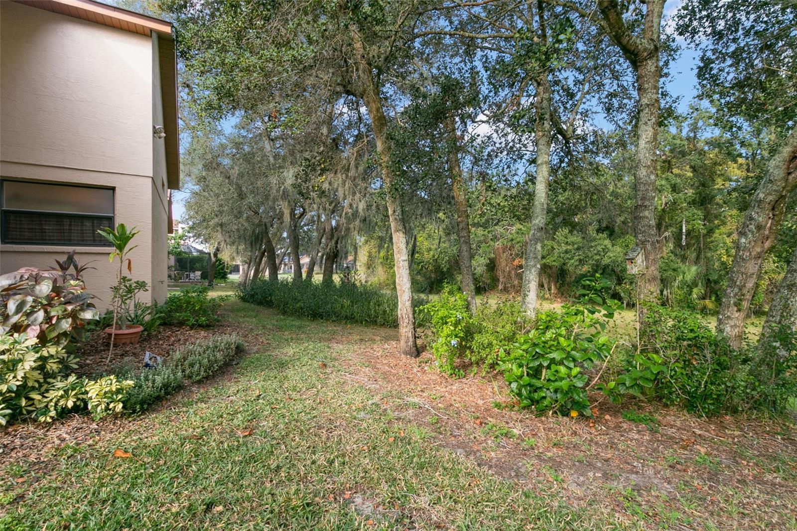 BACK YARD