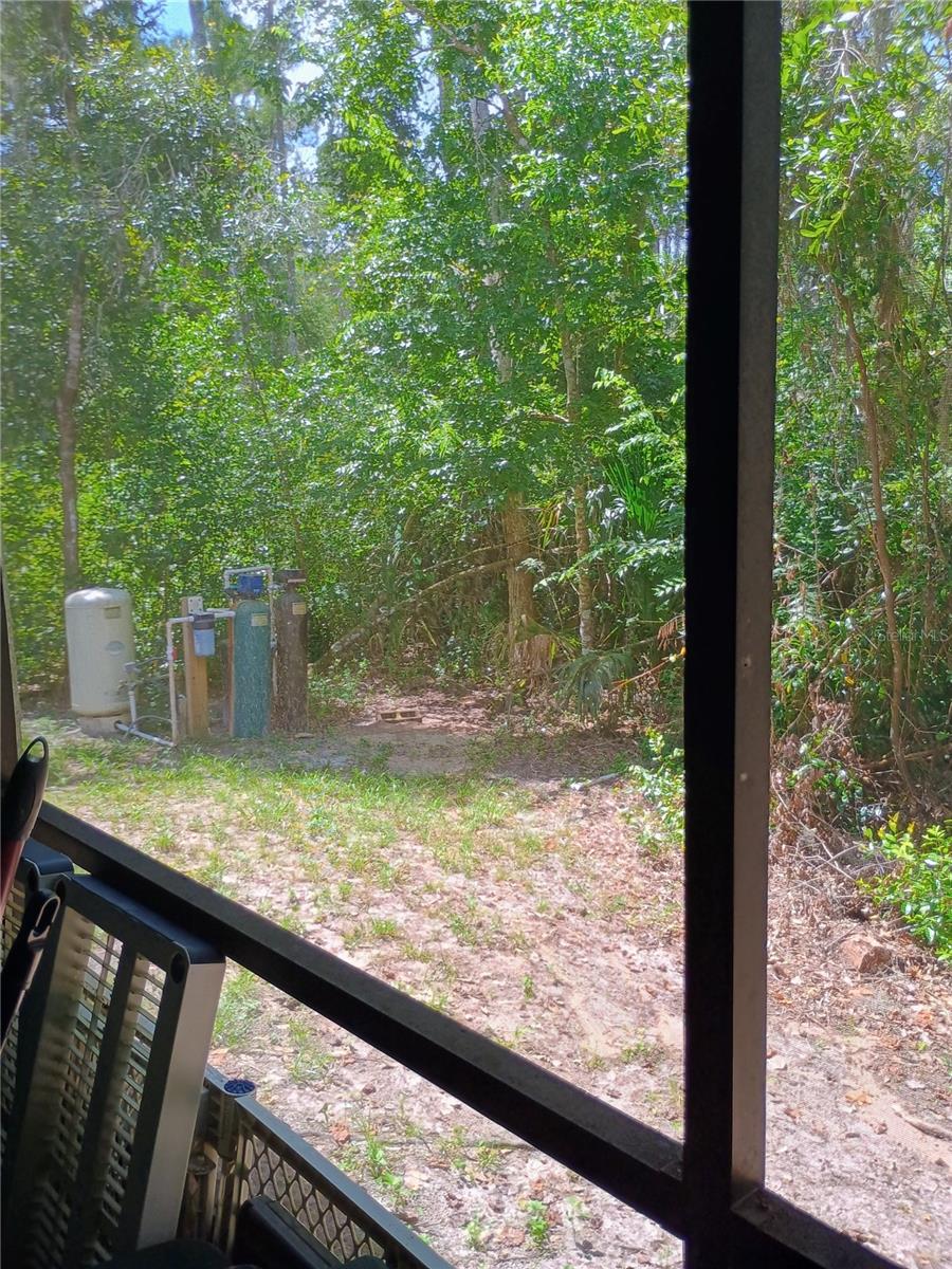 Back Porch