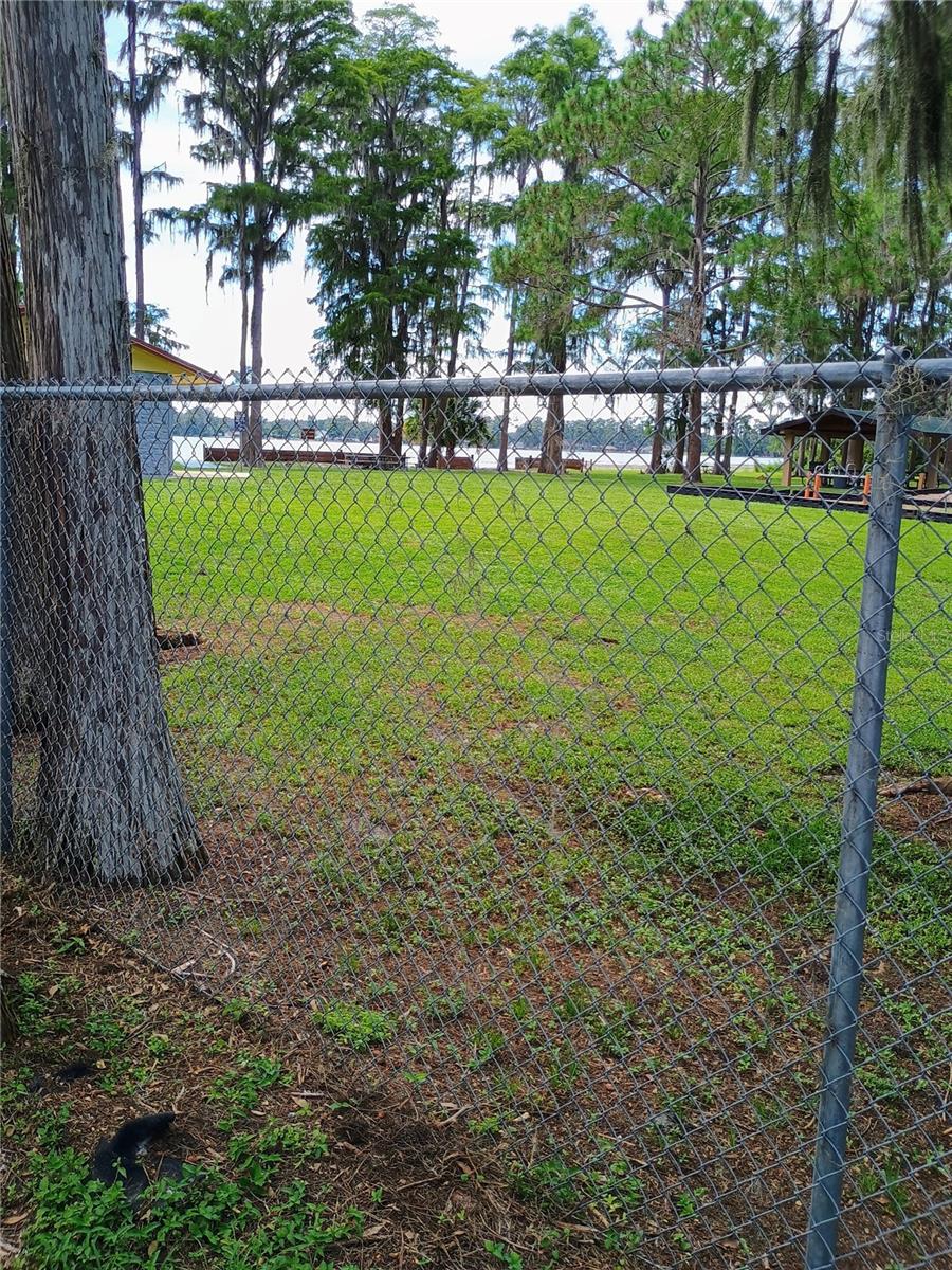 Park next door