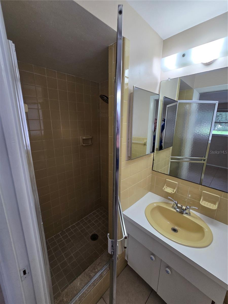 Primary bathroom, ensuite
