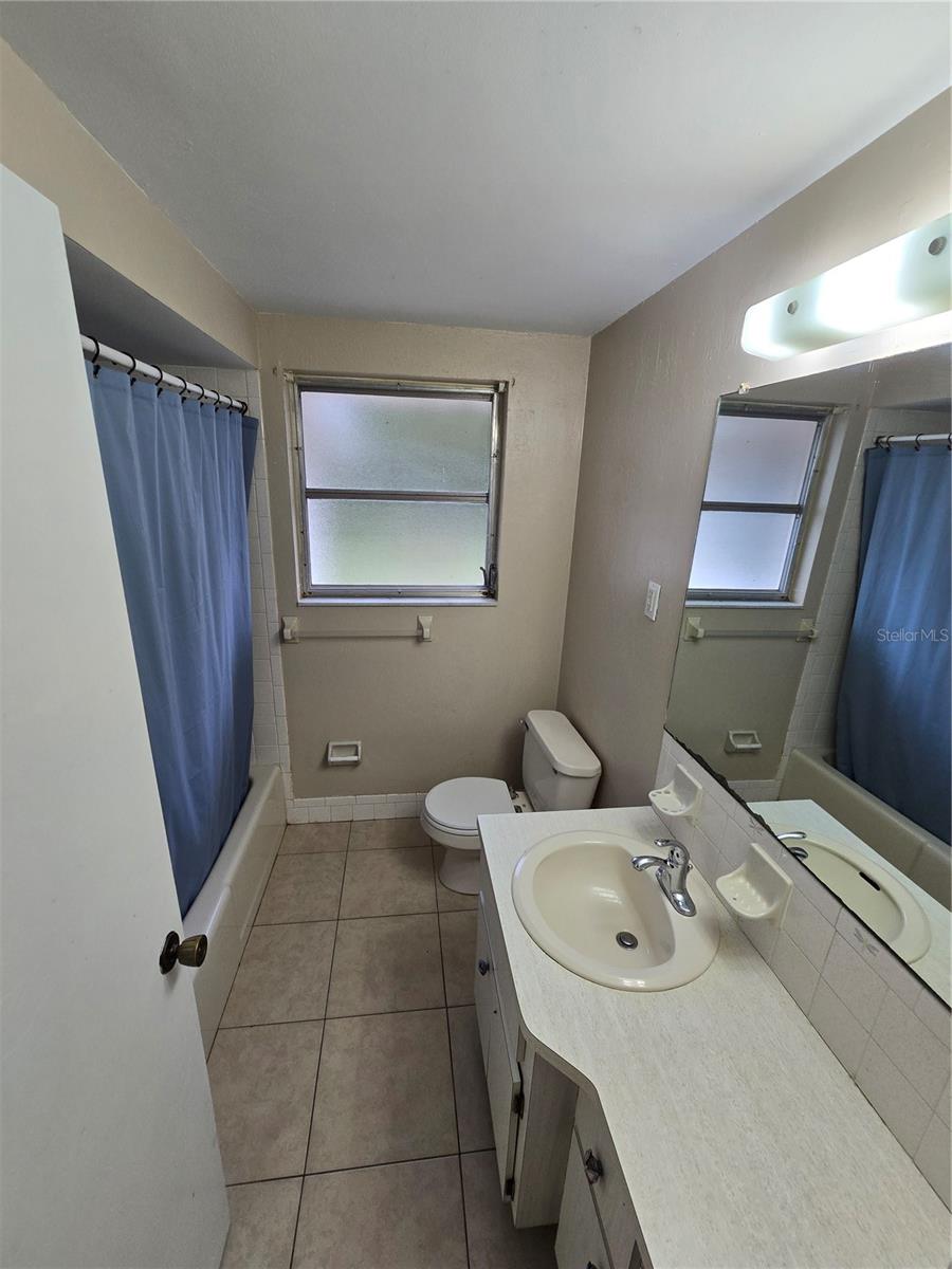Hall bathroom