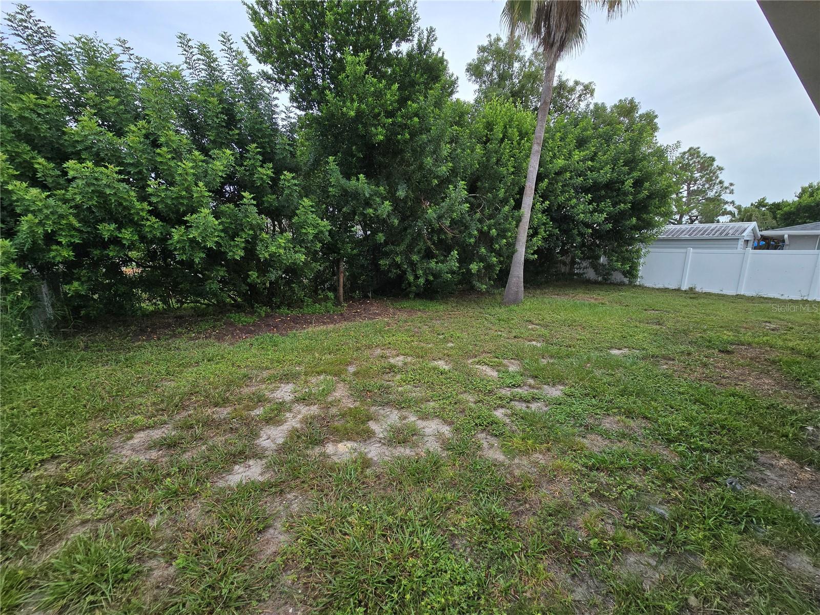 Large backyard