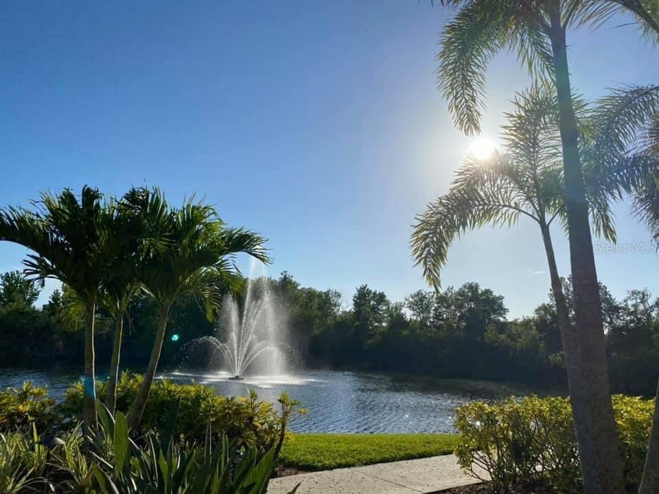Outdoor Palm Court View