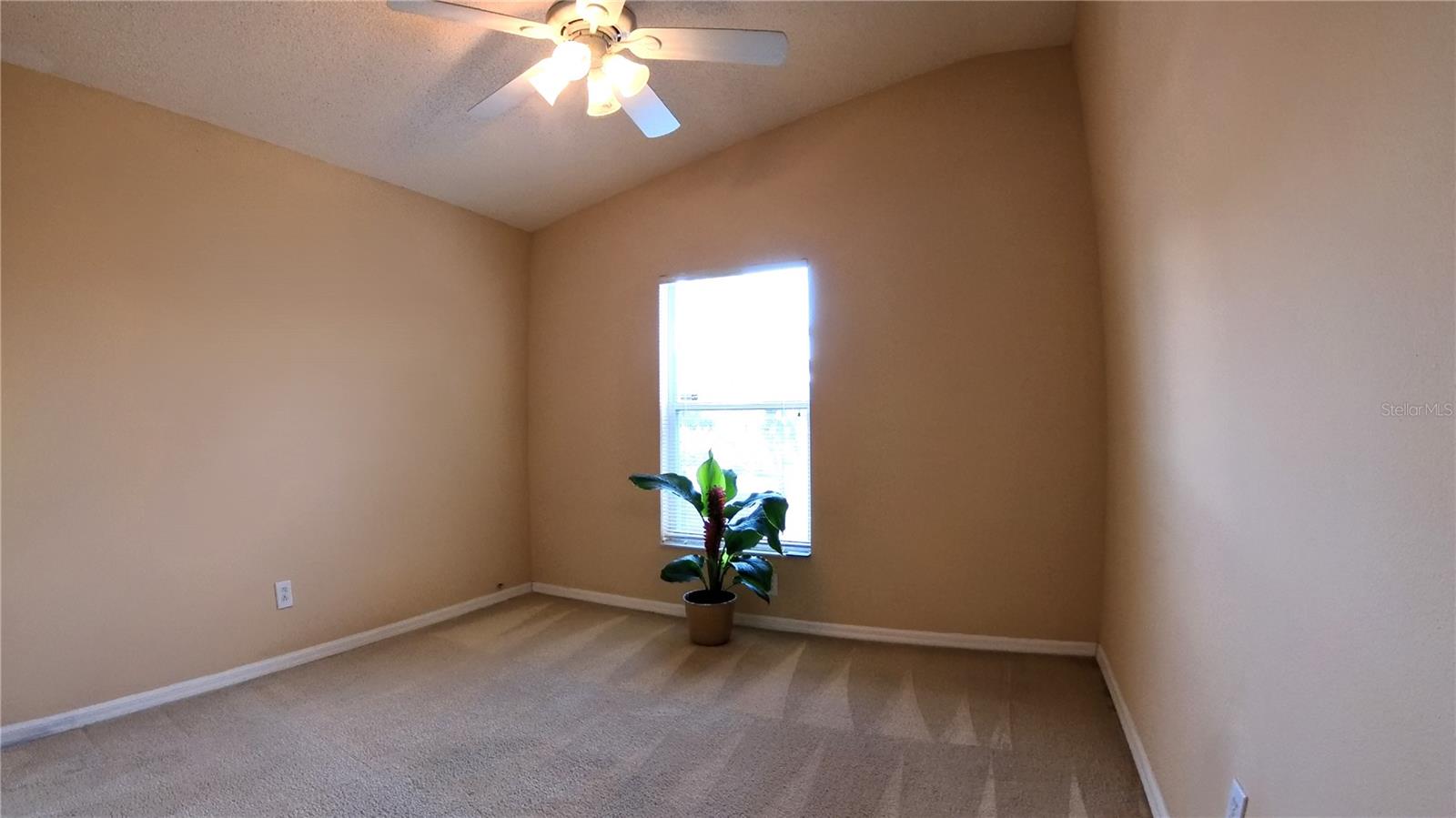 Back Bedroom
