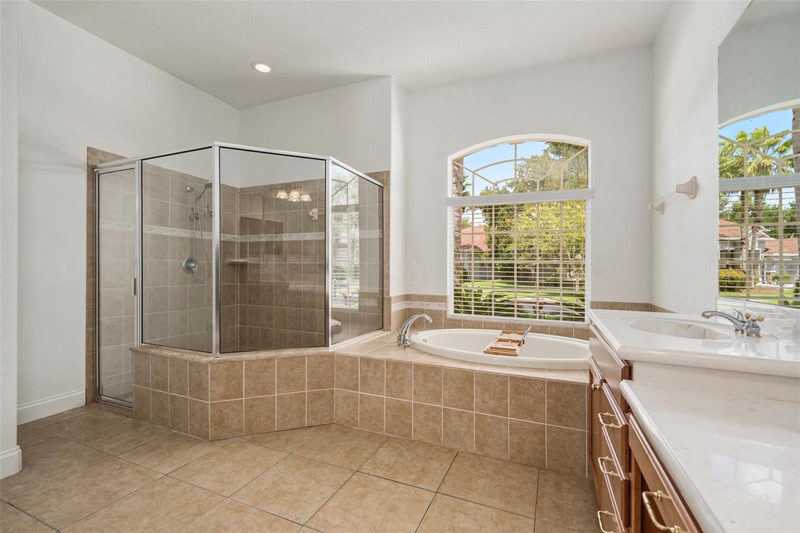Large Primary Bathroom