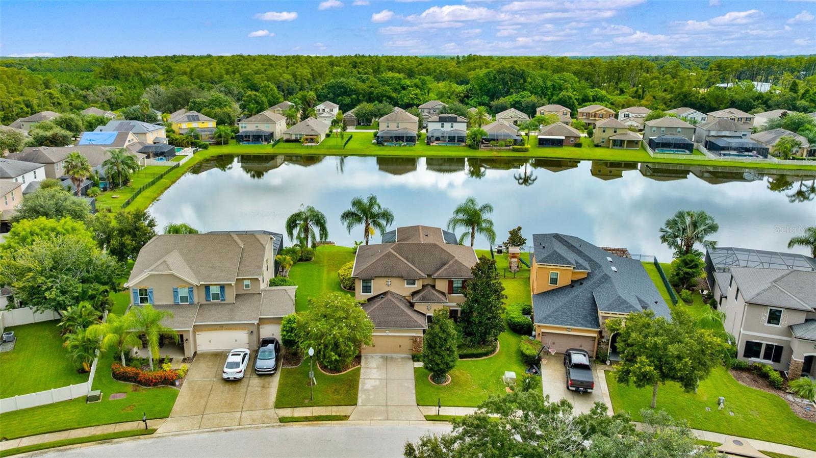 Stunning Property
