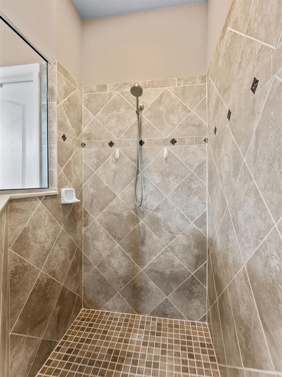 Primary Bathroom walk in shower
