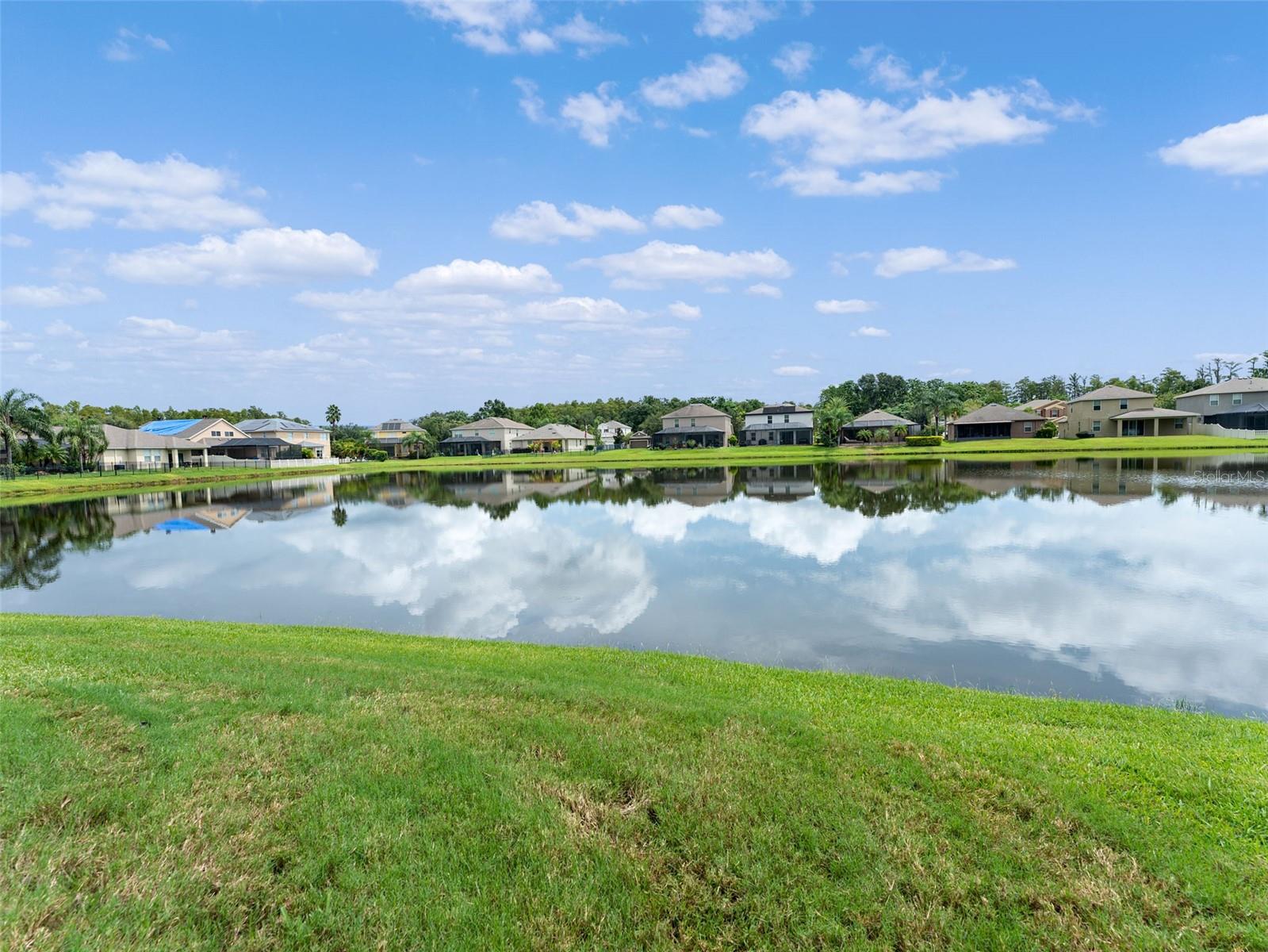 Neighborhood Pond