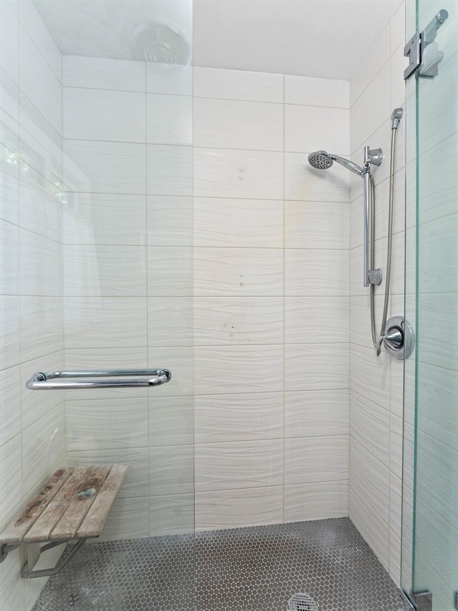 Primary Shower