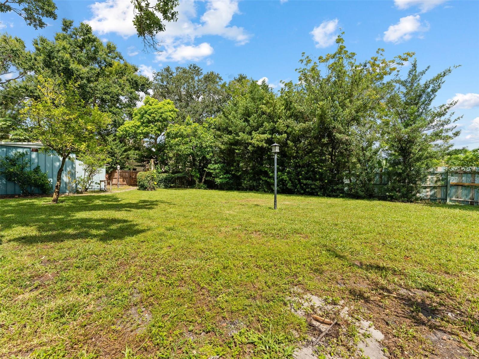 Back Yard