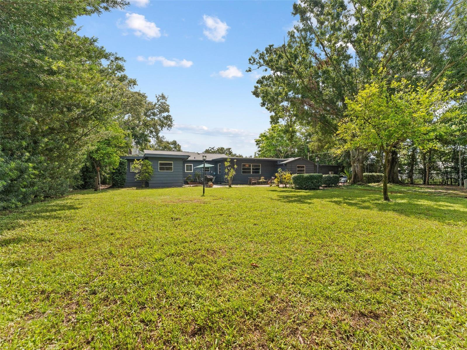 Spacious Back Yard