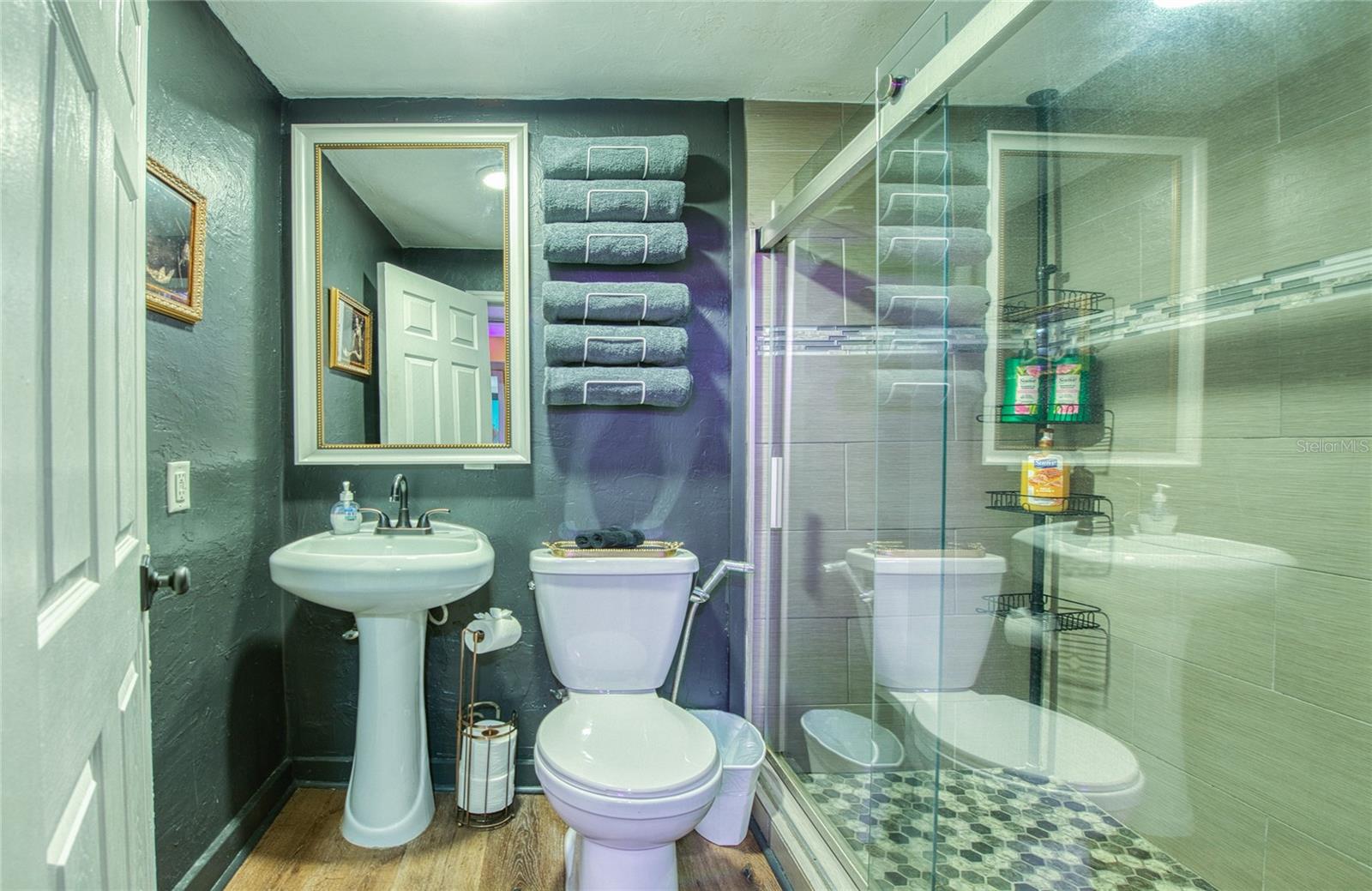 Bathroom: Mother-in-Law Suite w/ Private Entrance