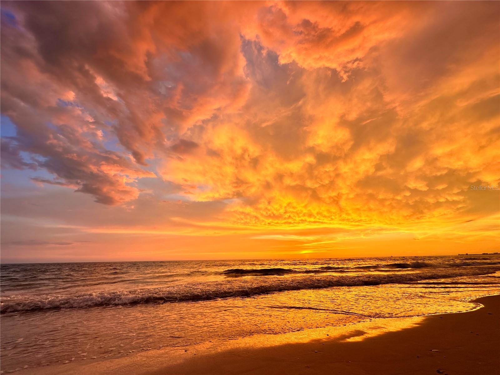 Nightly Sunsets
