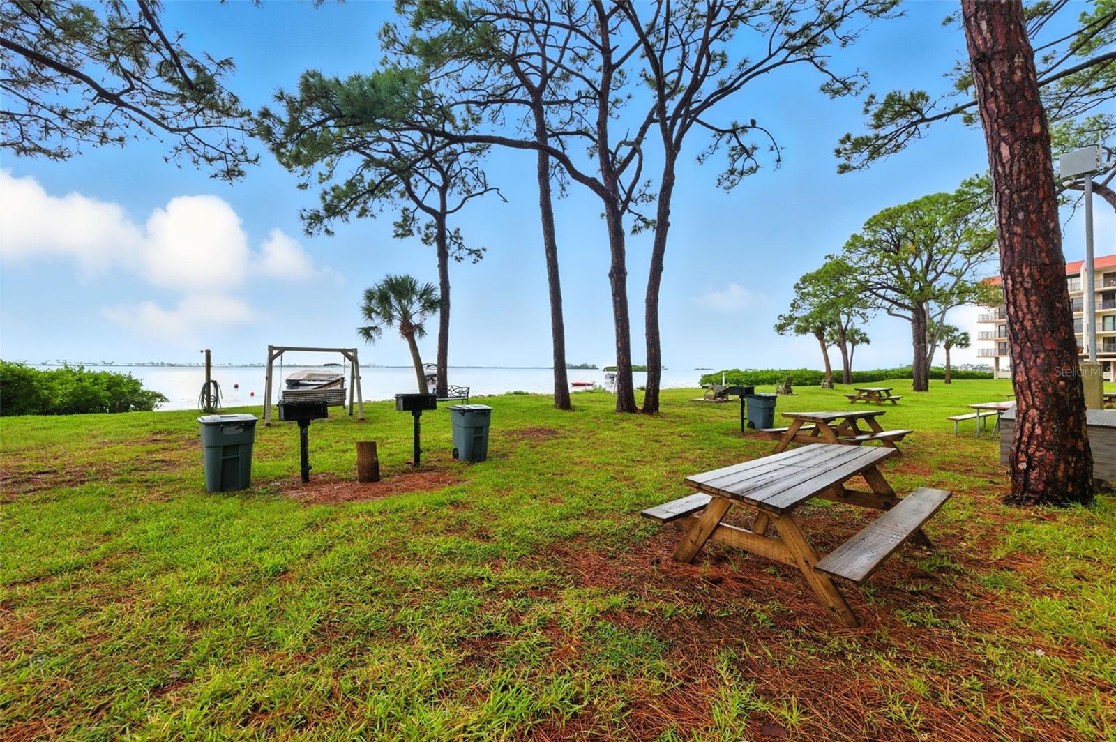 Grills and picnic tables