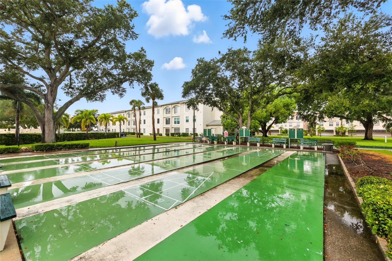 Shuffleboard courts
