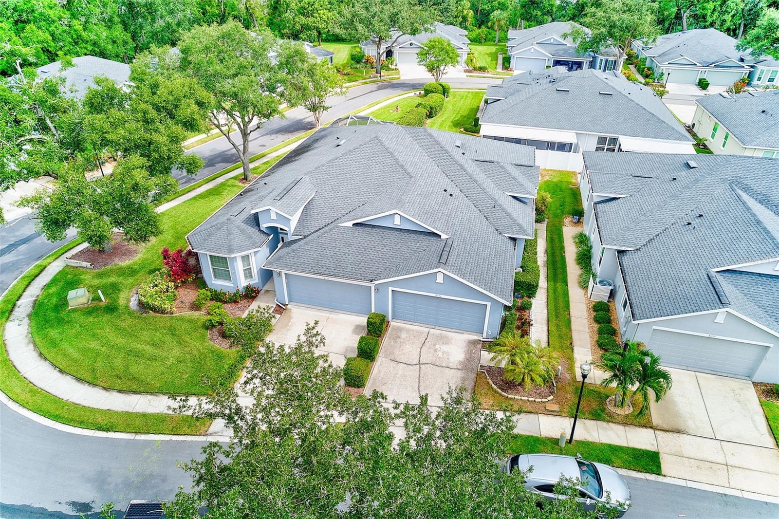 AERIAL