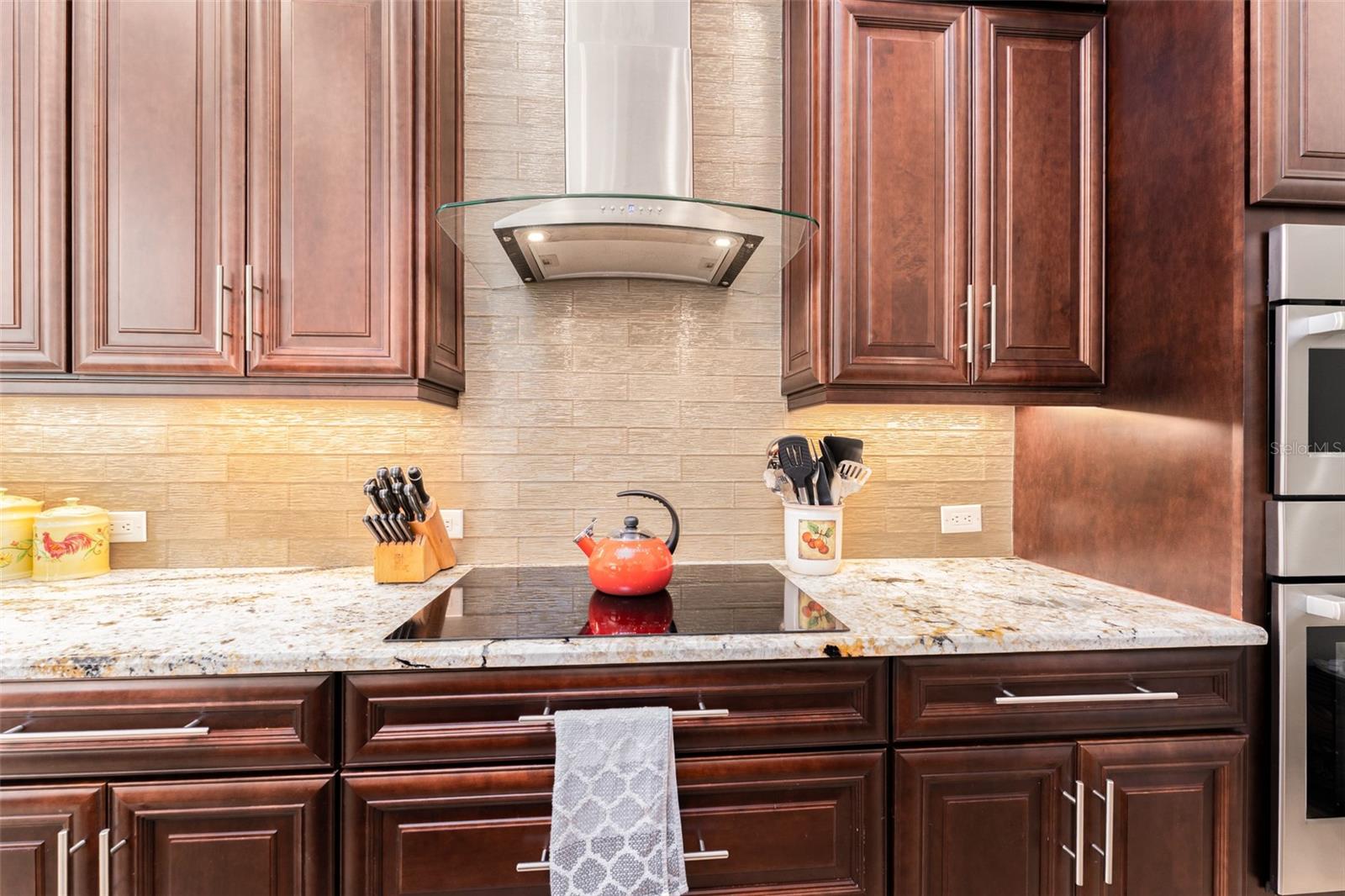 Induction Cooktop with Stainless Hood