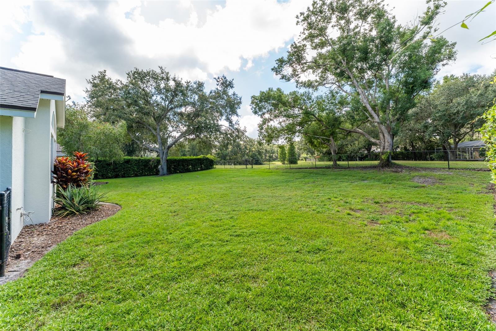 Spacious Fenced Backyard with Conservation in the Rear