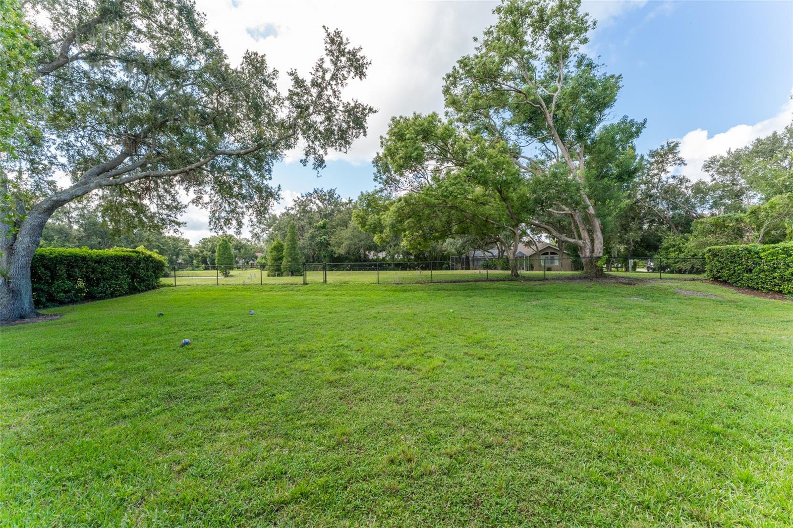 Spacious Fenced Backyard with Conservation in the Rear
