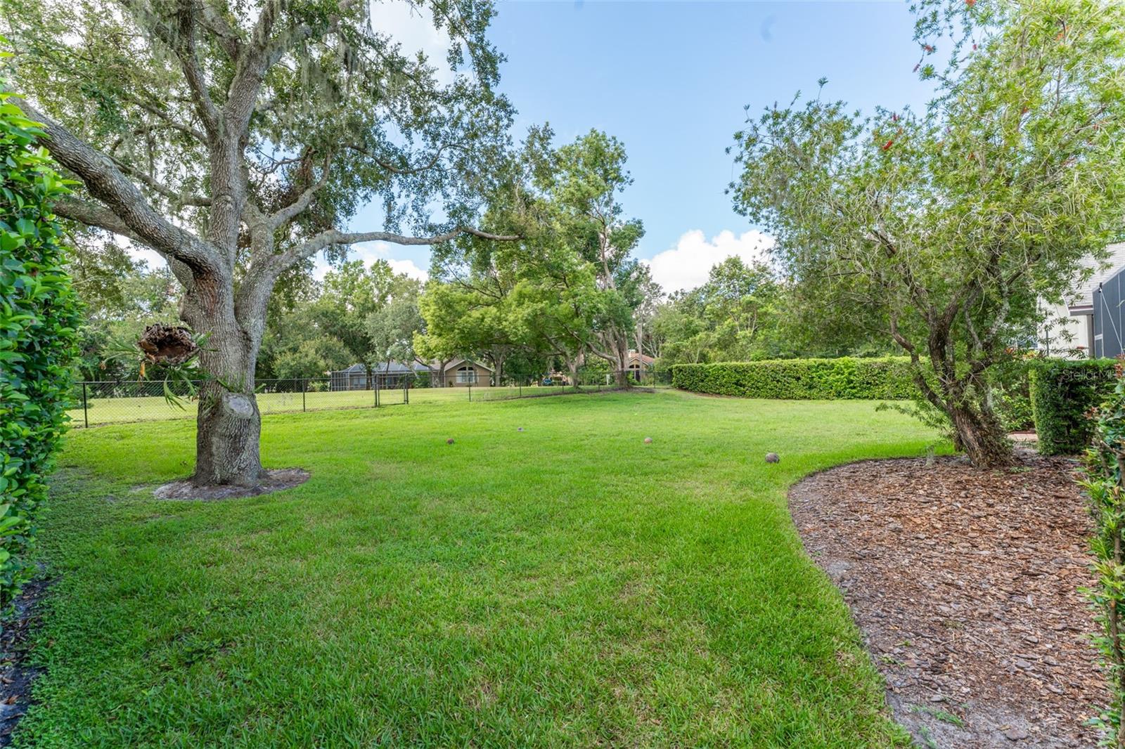 Spacious Fenced Backyard with Conservation in the Rear