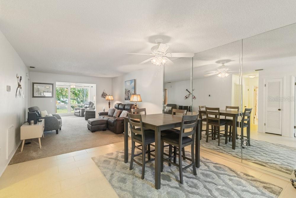 Dining/Living Room