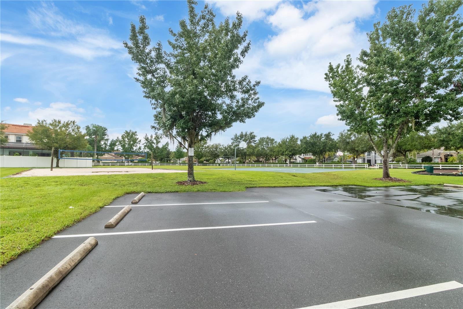 community volleyball court