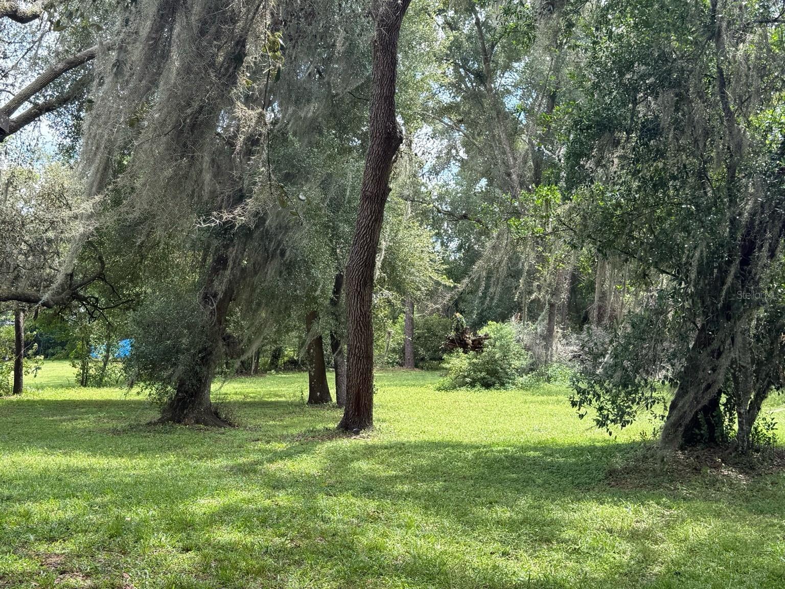 O6338978