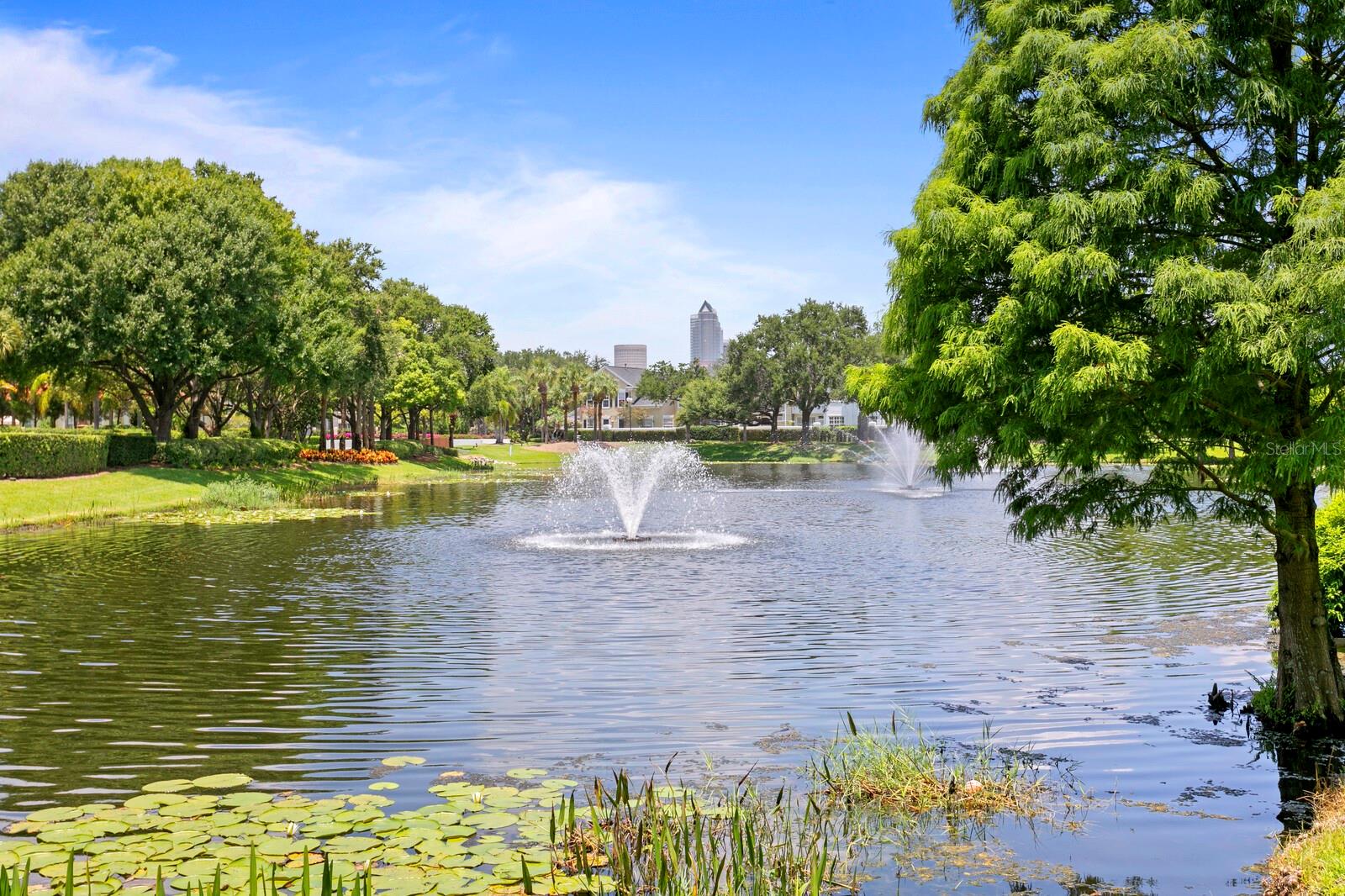 Small lakes/ponds often find native birds and ducks