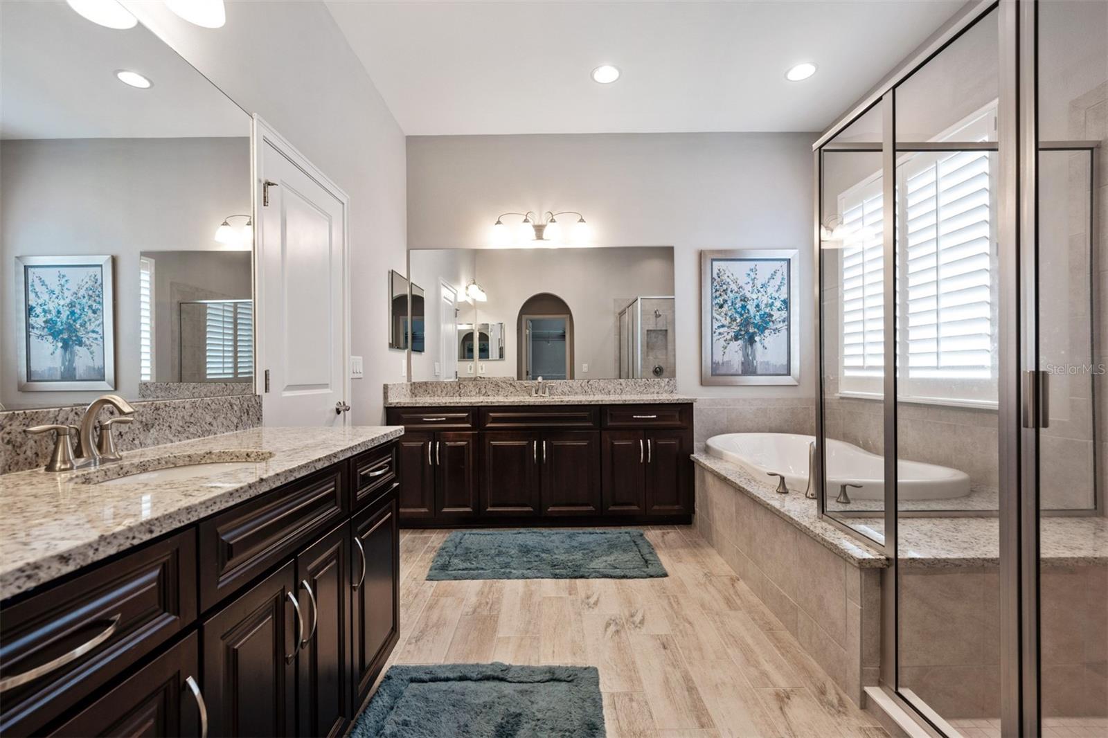 Owner's Bath