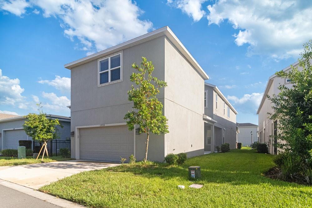 Back of the house