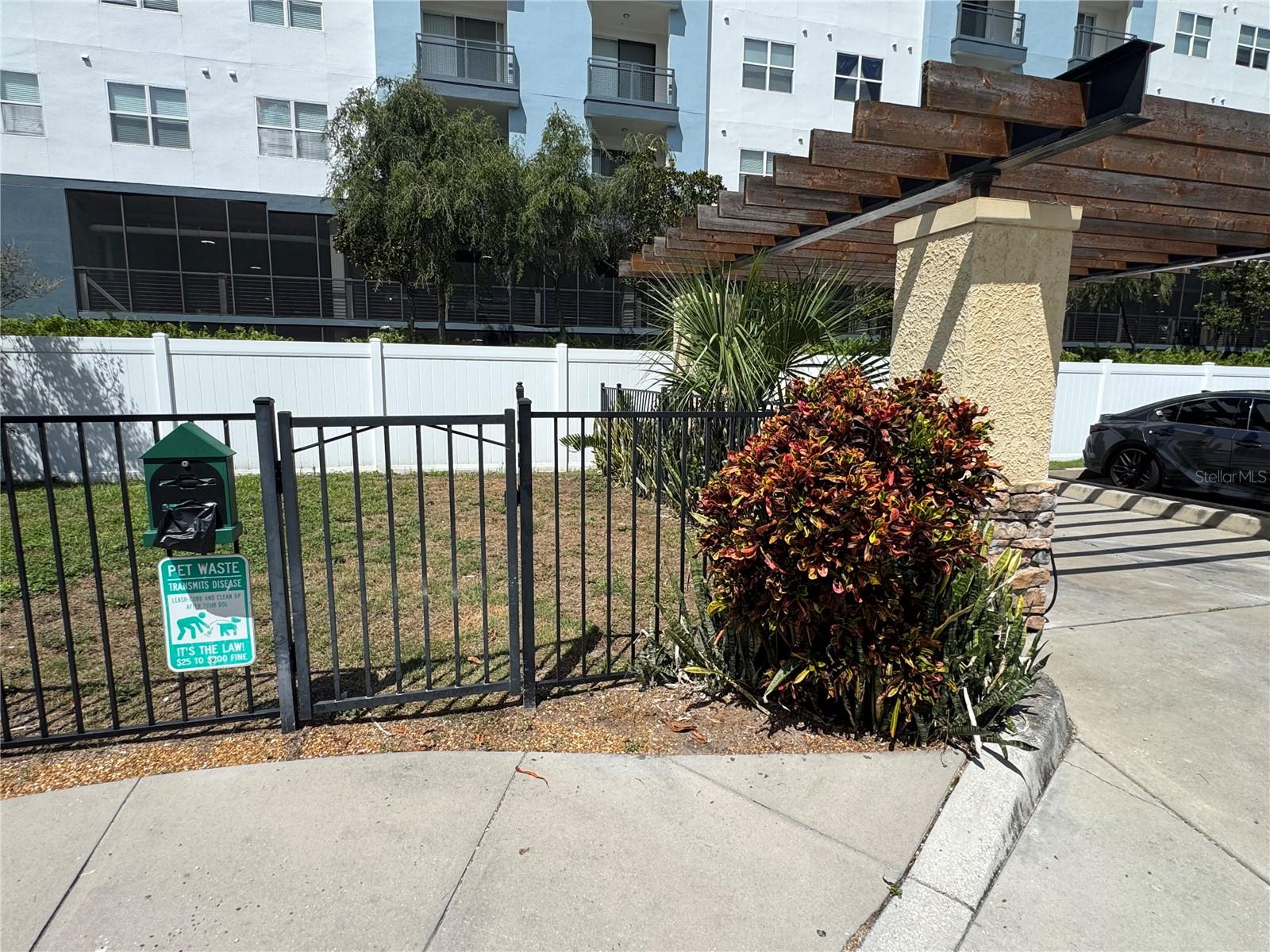 Dog Park next to car wash