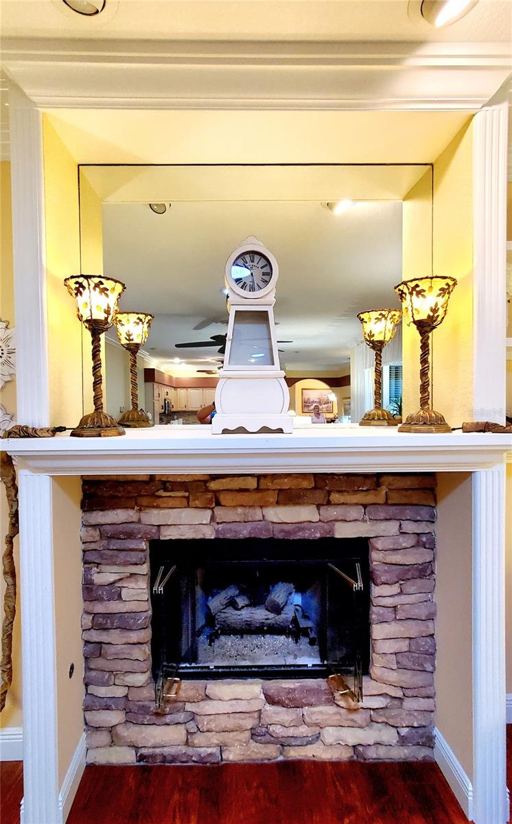 GAS FIREPLACE