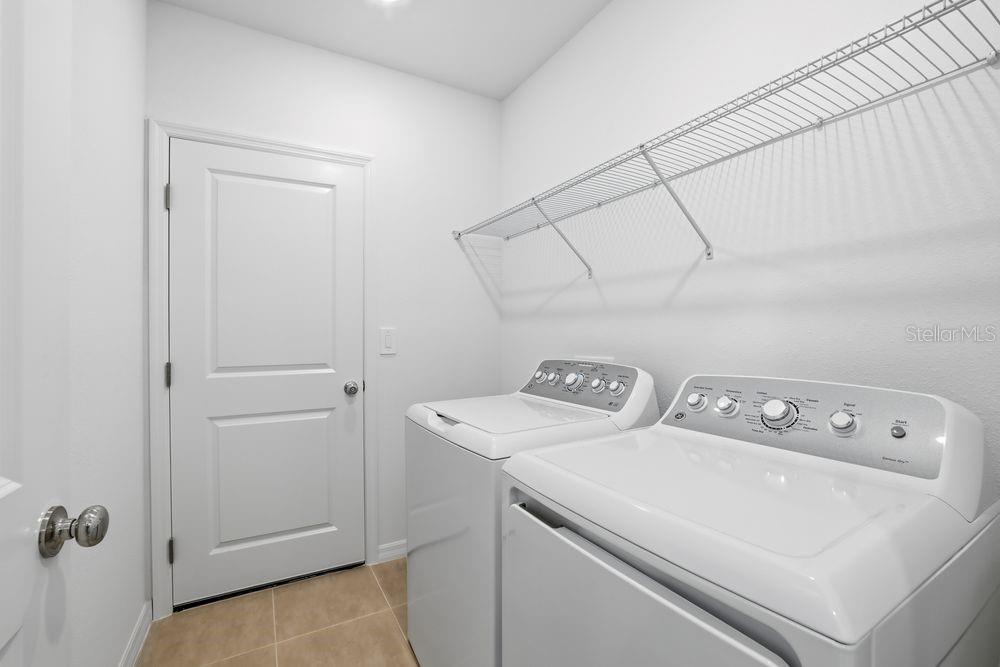 13673 Tropical Breeze ~ Ready Now