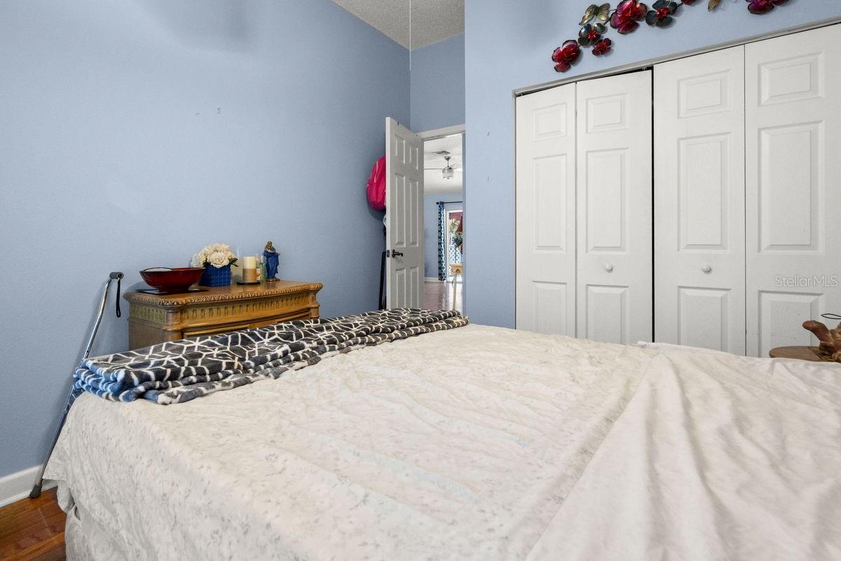 Guest Entry / Closet