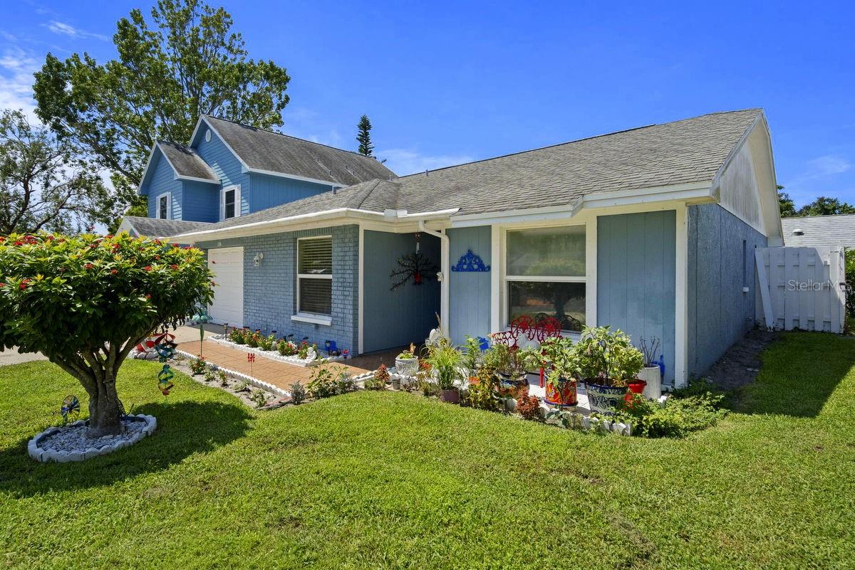 Mature Landscaping