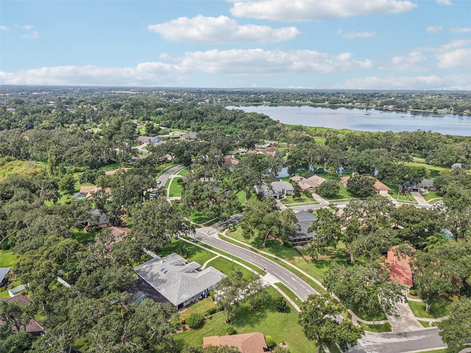 Ariel view of home and subdivision